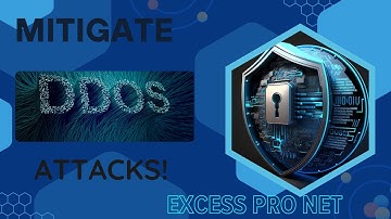 Surviving a DDoS Attack A WordPress Site