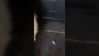 Download Lagu T they FX DJ bench BBC’s turn MP3