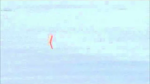 Colin McKerrell Catfish1.wmv