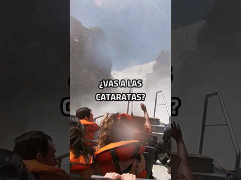 ¿Qué hacer en