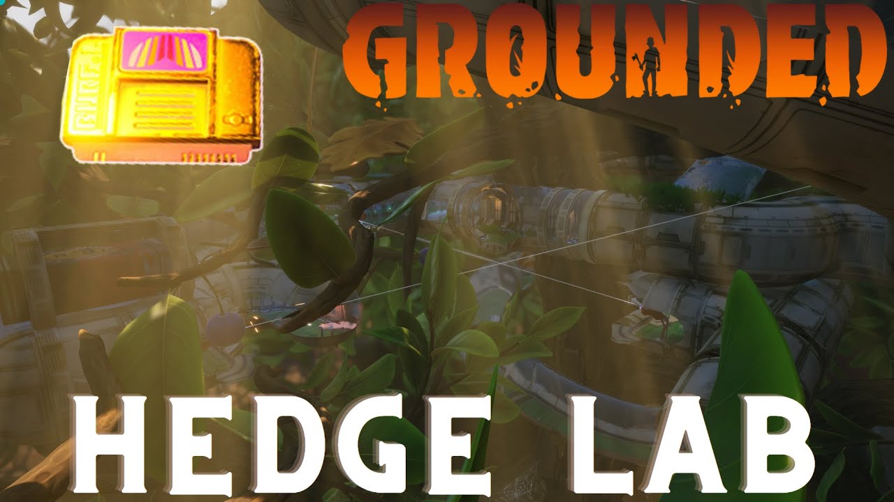 Grounded pt. 3 Hedge Lab and Base Building