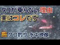 【タコ釣り】あの「タコっぽいアタリ」、実はタコだったかも‼️