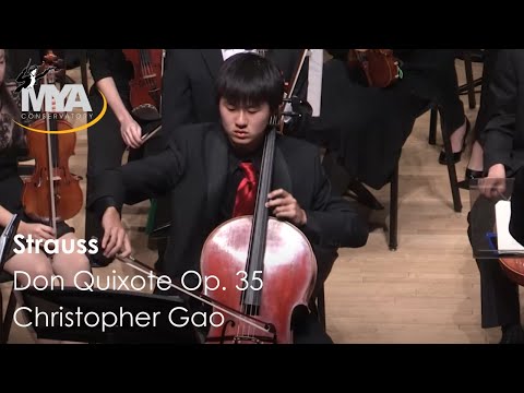 Strauss: Don Quixote,
