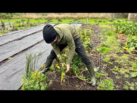 Video: Hvorfor er det vigtigt for landmænd at dyrke deres jord?