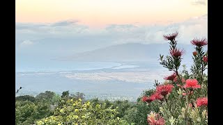 Watch Ekolu Let Me Be There video