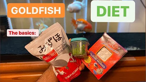 Goldfish Diet - What should you feed your goldfish?