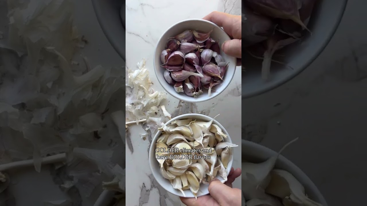 Посадка чеснока 101