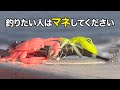 【船タコ】釣っている人だけが知っているアタリの真実｜ガッ釣り関西256
