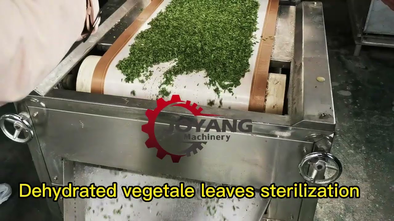 Tunnel microwave sterilization machine for chili spices tumeric powder dehydrated vegetables fruits