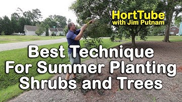 The Best Technique for Summer Planting Trees and Shrubs (How to Plant in the Summer)