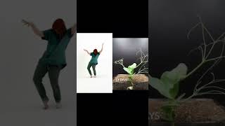 Thumbnail for Choreography by Pea. Duet with @boxlapsefilms