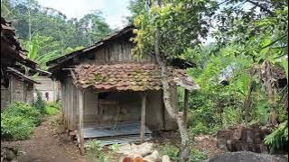 THE UNIQUE REALITY OF LIFE OF JAVANESE TRIBES IN THE INN