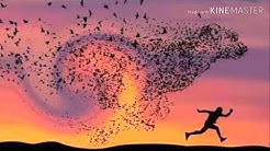 احلى رنات هاتف جديدة 2019