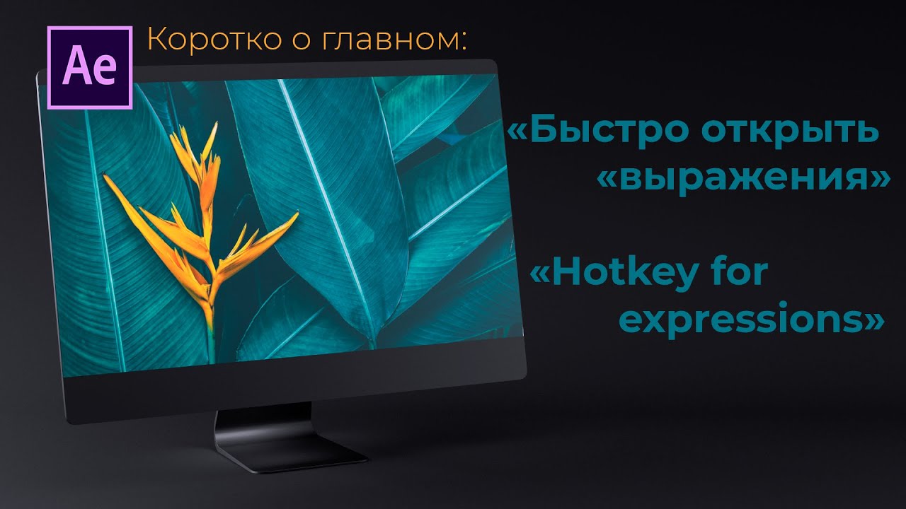 After Effects "Как быстро открыть "выражения"/ Hotkey to show