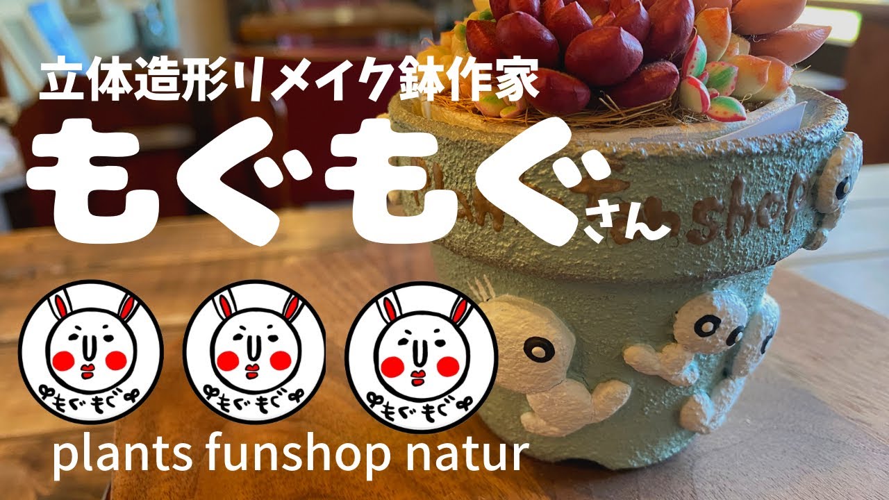 やきものHACCHI 多肉鉢 どうぶつ鉢　新品未使用品 おまかせミニ観葉 リトルアニマル 鉢おまかせ(3鉢)(説明書付き) | チャーム