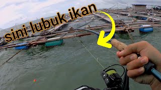 BANYAK ikan di SANGKAR ini | Sangkar kuala gula