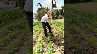 Gardening Hacks Loosening Soil With A Two Tine Hoe