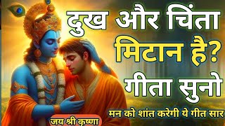 दुख और चिंता मिटानी है? गीता सुनो |Geeta Saar | Shree Krishna motivational speech #krishnamotivation