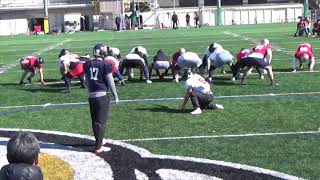 【 フィールドゴール 】 2020アメフト日本代表 練習公開