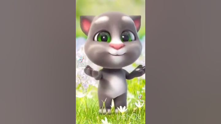 gatito bailando tik Tok