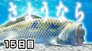 今までありがとう。さようなら。【シーマン育成日記：15日目】