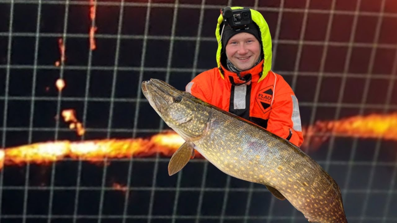 HAASTAVA HAUKIPÄIVÄ | LIVE-NÄKYMÄÄ