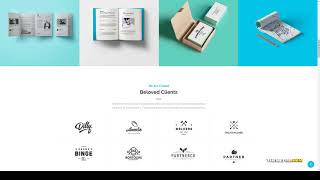 Biger - Responsive Multi-Purpose WordPress Theme business wordpress parallax Website Builder