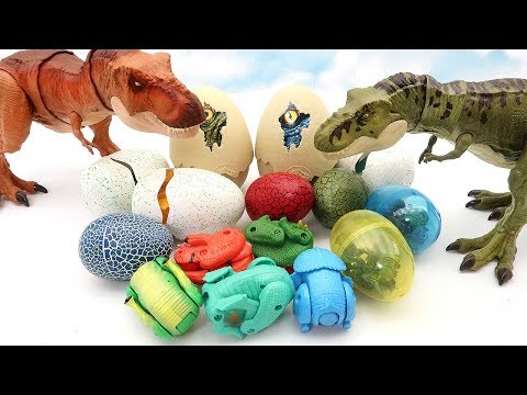30 Dinosaur Eggs! Jurassic World 2 Fallen Kingdom Egg, Transformer Egg - Fun Dinosaur Video 공룡 알 부화