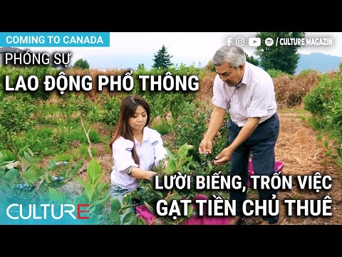 Video Phóng sự LAO ĐỘNG PHỔ THÔNG Định Cư Canada: Nhân công... - YouTube