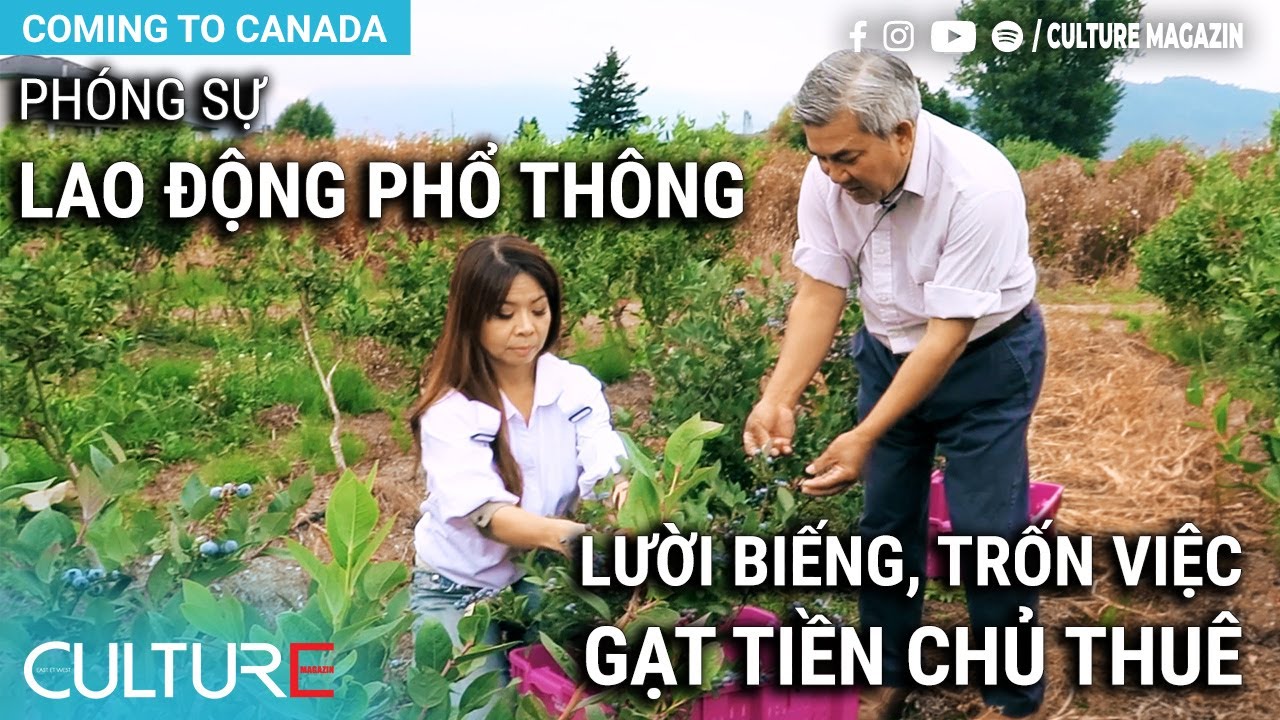 Outline Video Phóng sự LAO ĐỘNG PHỔ THÔNG Định Cư Canada: Nhân công lười biếng, trốn việc và LỪA TIỀN chủ thuê