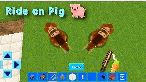 Ride on pig in realmcraft|tame pig in realmcraft