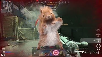 Vanguard 360 no scope