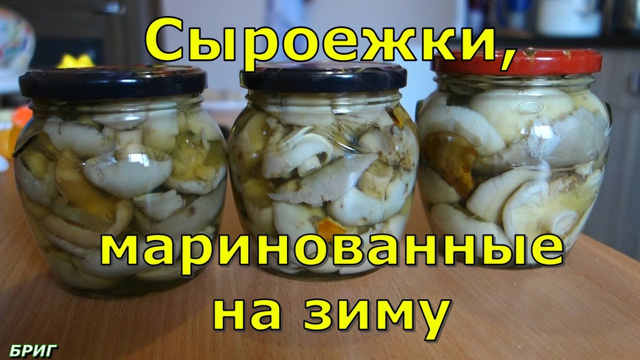 Сыроежки, маринованные на зиму