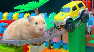 Escape from the Lego Maze - Rescuse Hamster in the Rainbow Maze by MR HAMSTER 4,318 views 6 months ago 10 minutes, 56 seconds