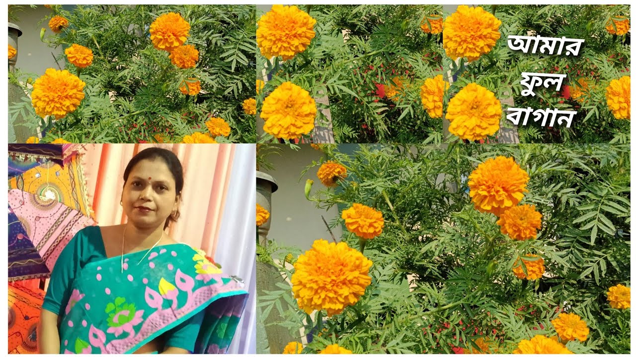 আমার ছোট্র ফুল বাগান কেমন লাগলো জানাবেন 🙏