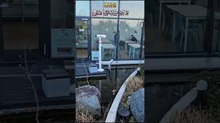 변진섭 홀로 된다는 것 2 울릉도 추산 코스모스 리조트 울라커피숍 작은연못 송곳봉 아래 홀로서있는 외로운 울라