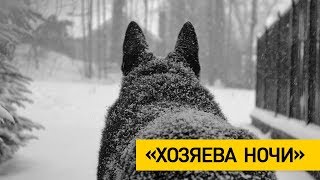 Волки держат в страхе жителей деревень в Городокском районе