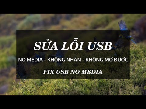 Sửa lỗi USB no media – sửa lỗi usb không nhận – Fix USB no media