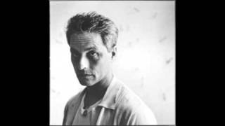 Marc Ribot  happiness is a warm gun
