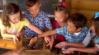 Big Bear Gold Mining