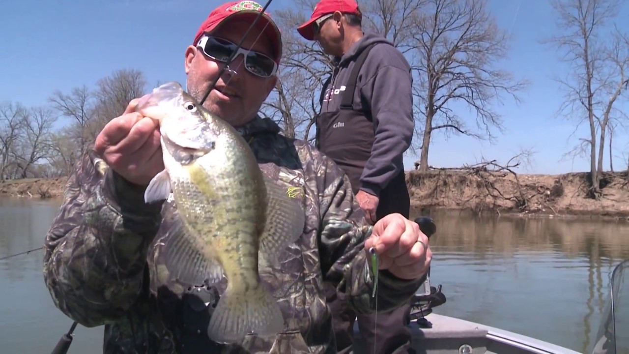 Catching Bluegill from the bank with light wire circle hooks! 