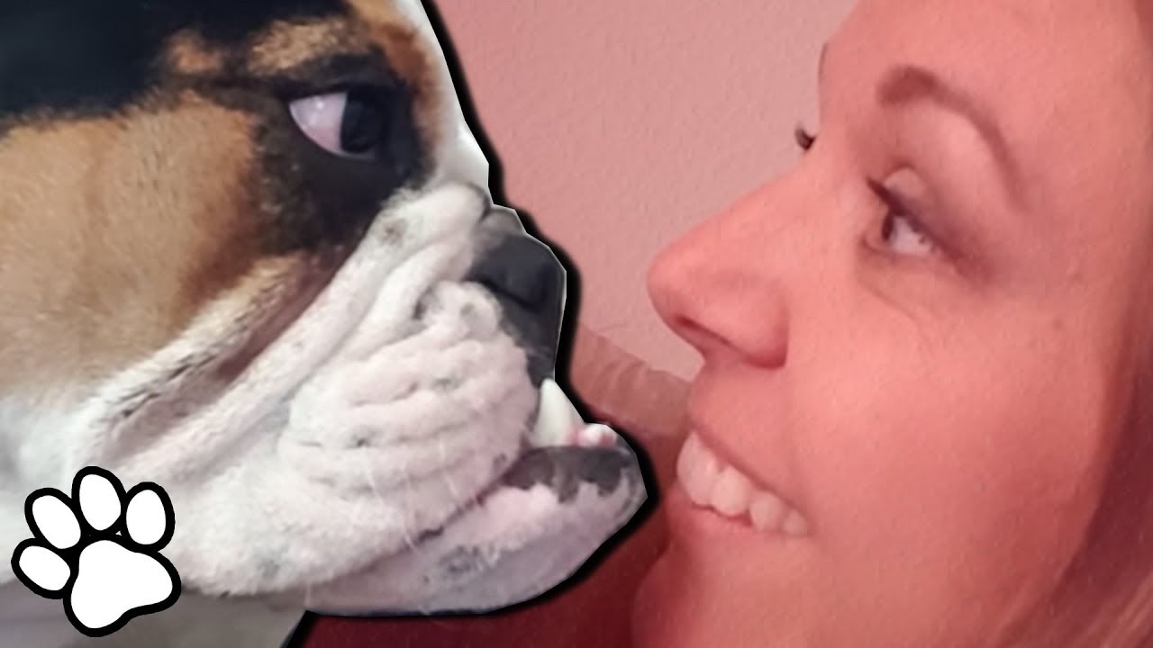 Dogs Don't Understand Personal Space That Pet Life YouTube