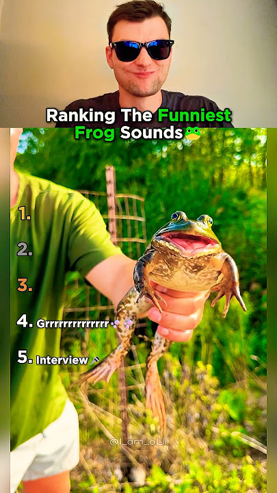 Top 5 Frog Sounds That Made Us Lose It!