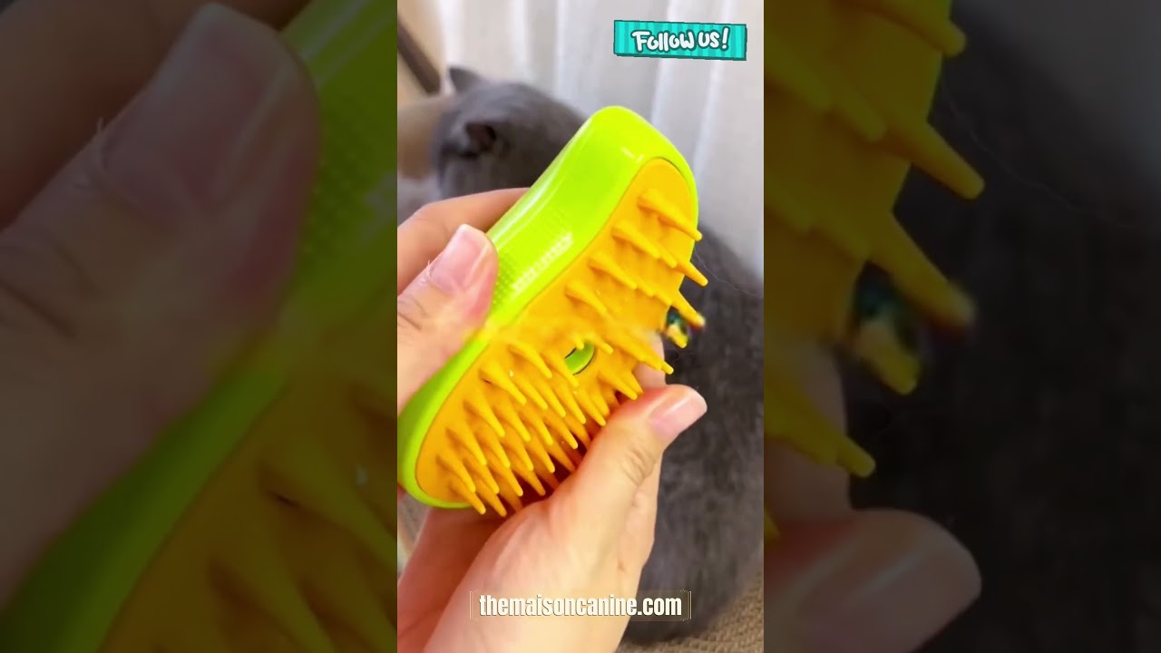 From Stress to Bliss: My Pet’s Spa Transformation 