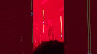 dark Horse, our last night slc 2025