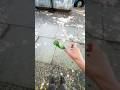 Amazing Experiment 😁 #experiment #shorts #trending #shotsfeed #science #facts #viral