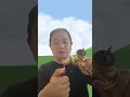 Traditional Chinese medicine moxa is good