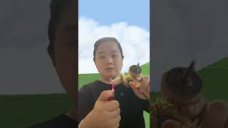 Traditional Chinese medicine moxa  is good