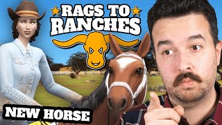 New horse joins the ranch Rags to Ranches (Part 7)