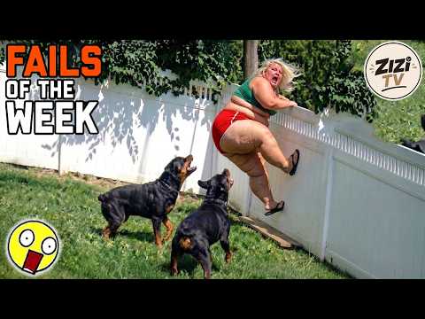 Try Not To Laugh 🤣 #78 | Instant Regret & Hilarious Moments | Best Of The Week